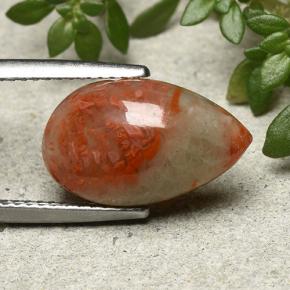 9,17 ctw natürlicher Mehrfarbig Koralle, Birnenform, Lichtdurchlässig