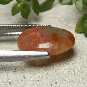 9,17 ctw natürlicher Mehrfarbig Koralle, Oval Schliff, Lichtdurchlässig