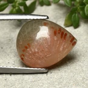 9,17 ctw natürlicher Mehrfarbig Koralle, Birnenform, Lichtdurchlässig