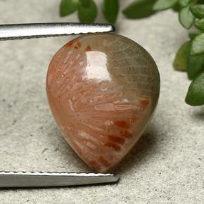 9,17 ctw natürlicher Mehrfarbig Koralle, Birnenform, Lichtdurchlässig