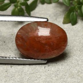 9,17 ctw natürlicher Mehrfarbig Koralle, Oval Schliff, Lichtdurchlässig