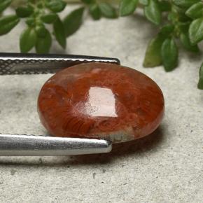 9,17 ctw natürlicher Mehrfarbig Koralle, Oval Schliff, Lichtdurchlässig