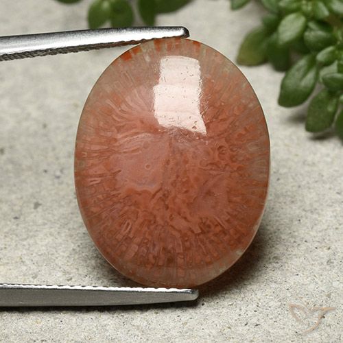 9.51ct Natürlicher Mehrfarbig Koralle, Oval, Lichtdurchlässig