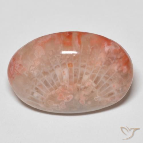 11.96ct Natürlicher Mehrfarbig Koralle, Oval, Lichtundurchlässig