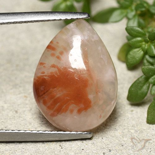 6.43ct Natürlicher Mehrfarbig Koralle, Birnenform, Lichtdurchlässig
