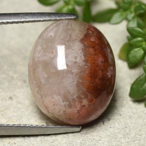 9,17 ctw natürlicher Mehrfarbig Koralle, Oval Schliff, Lichtdurchlässig