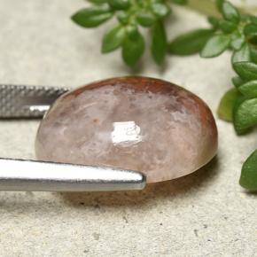 9,17 ctw natürlicher Mehrfarbig Koralle, Oval Schliff, Lichtdurchlässig