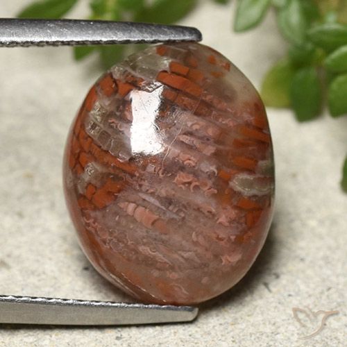 7.28ct Natürlicher Mehrfarbig Koralle, Oval, Lichtdurchlässig