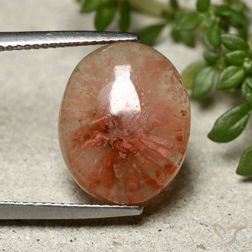 7.91ct Natürlicher Mehrfarbig Koralle, Oval, Lichtdurchlässig