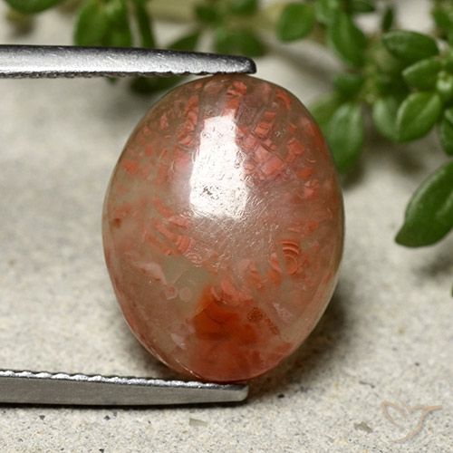6.66ct Natürlicher Mehrfarbig Koralle, Oval, Lichtdurchlässig