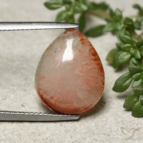 7.31ct Natürlicher Mehrfarbig Koralle, Birnenform, Lichtdurchlässig