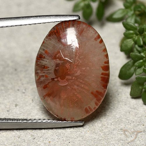 10.04ct Natürlicher Mehrfarbig Koralle, Oval, Lichtdurchlässig, Photo A