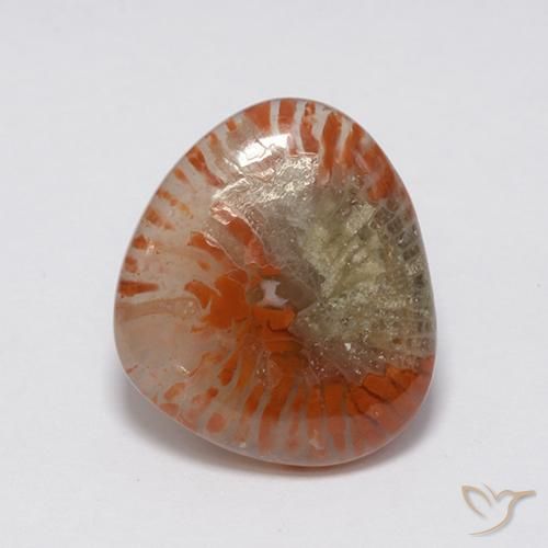 7.59ct Natürlicher Mehrfarbig Koralle, Fantasie, Lichtdurchlässig