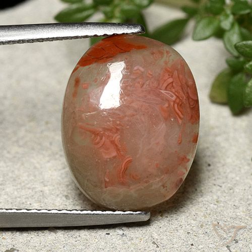 6.86ct Natürlicher Mehrfarbig Koralle, Oval, Lichtdurchlässig