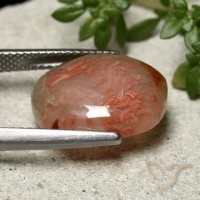 9,17 ctw natürlicher Mehrfarbig Koralle, Oval, Lichtdurchlässig
