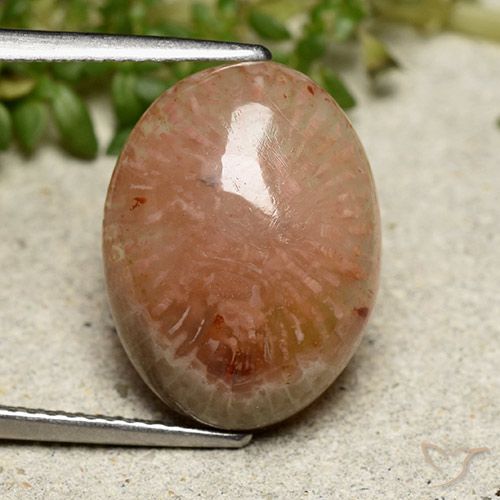 7.64ct Natürlicher Mehrfarbig Koralle, Oval, Lichtdurchlässig