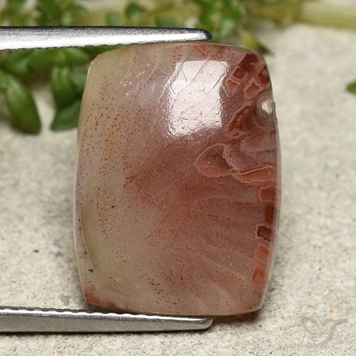 9,17 ctw natürlicher Mehrfarbig Koralle, Kissenschliff, Lichtdurchlässig