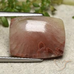 9,17 ctw natürlicher Mehrfarbig Koralle, Kissenschliff, Lichtdurchlässig