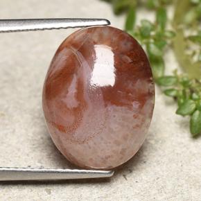 9,17 ctw natürlicher Mehrfarbig Koralle, Oval Schliff, Lichtdurchlässig