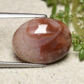 9,17 ctw natürlicher Mehrfarbig Koralle, Oval Schliff, Lichtdurchlässig