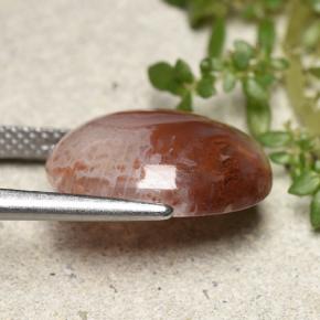 9,17 ctw natürlicher Mehrfarbig Koralle, Oval Schliff, Lichtdurchlässig