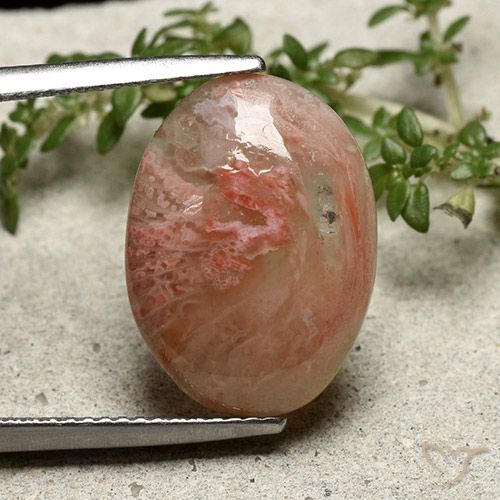 7.30ct Natürlicher Mehrfarbig Koralle, Oval, Lichtdurchlässig