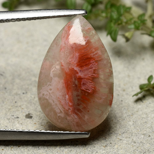 9,17 ctw natürlicher Mehrfarbig Koralle, Birnenform, Lichtdurchlässig
