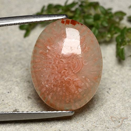 8.03ct Natürlicher Mehrfarbig Koralle, Oval, Lichtdurchlässig