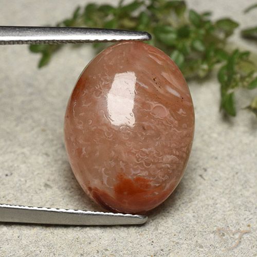 10.75ct Natürlicher Mehrfarbig Koralle, Oval, Lichtdurchlässig
