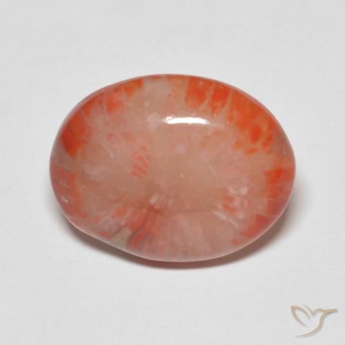 4.60ct Natürlicher Mehrfarbig Koralle, Oval, Lichtdurchlässig