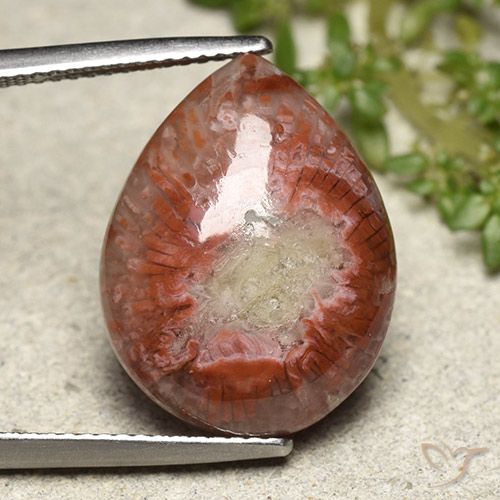 11.90ct Natürlicher Mehrfarbig Koralle, Birnenform, Lichtundurchlässig