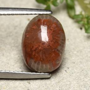 9,17 ctw natürlicher Mehrfarbig Koralle, Oval Schliff, Lichtundurchlässig