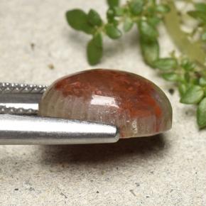 9,17 ctw natürlicher Mehrfarbig Koralle, Oval Schliff, Lichtundurchlässig