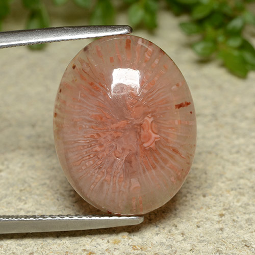 9,17 ctw natürlicher Mehrfarbig Koralle, Oval Schliff, Lichtdurchlässig