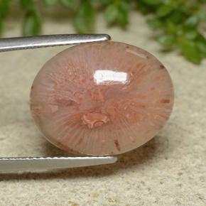 9,17 ctw natürlicher Mehrfarbig Koralle, Oval Schliff, Lichtdurchlässig