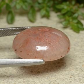 9,17 ctw natürlicher Mehrfarbig Koralle, Oval Schliff, Lichtdurchlässig