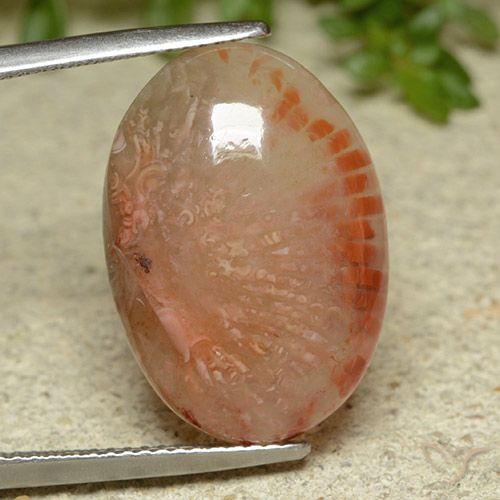 11.62ct Natürlicher Mehrfarbig Koralle, Oval, Lichtdurchlässig