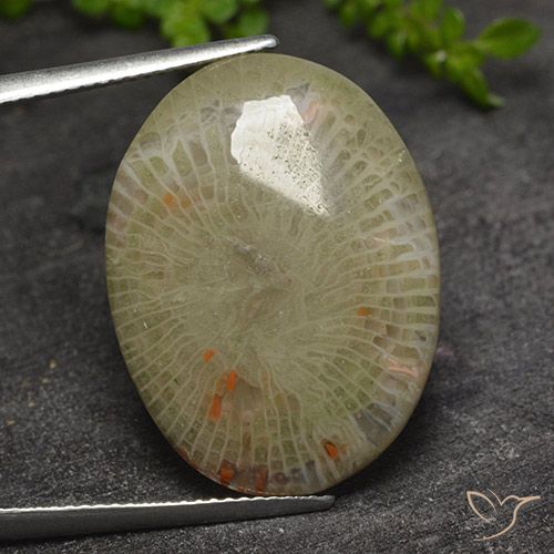 17.31ct Natürlicher Mehrfarbig Koralle, Oval, Lichtdurchlässig