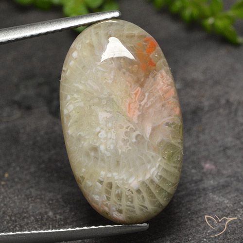 11.82ct Natürlicher Mehrfarbig Koralle, Oval, Lichtdurchlässig