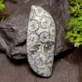 9,17 ctw natürlicher Mehrfarbig Koralle, Ausgefallene Form, Lichtundurchlässig