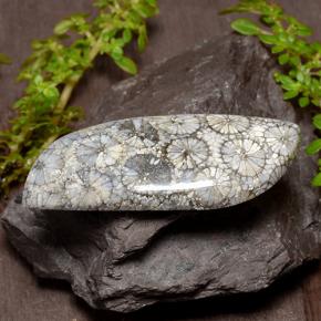 9,17 ctw natürlicher Mehrfarbig Koralle, Ausgefallene Form, Lichtundurchlässig