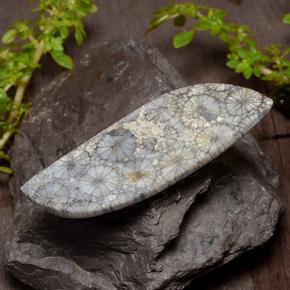 9,17 ctw natürlicher Mehrfarbig Koralle, Ausgefallene Form, Lichtundurchlässig