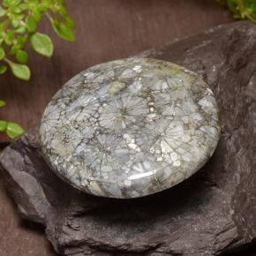 9,17 ctw natürlicher Mehrfarbig Koralle, Rund Schliff, Lichtundurchlässig