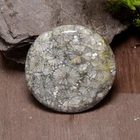 9,17 ctw natürlicher Mehrfarbig Koralle, Rund Schliff, Lichtundurchlässig