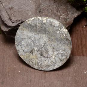 9,17 ctw natürlicher Mehrfarbig Koralle, Rund Schliff, Lichtundurchlässig