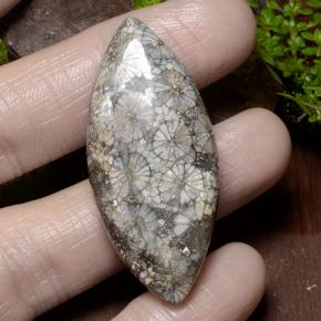 9,17 ctw natürlicher Mehrfarbig Koralle, Marquise, Lichtundurchlässig