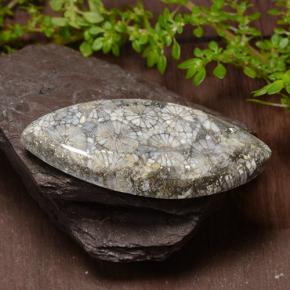 9,17 ctw natürlicher Mehrfarbig Koralle, Marquise, Lichtundurchlässig