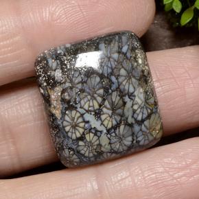 9,17 ctw natürlicher Mehrfarbig Koralle, Kissenschliff, Lichtundurchlässig