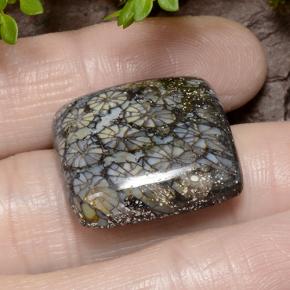 9,17 ctw natürlicher Mehrfarbig Koralle, Kissenschliff, Lichtundurchlässig