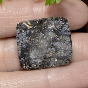 9,17 ctw natürlicher Mehrfarbig Koralle, Kissenschliff, Lichtundurchlässig